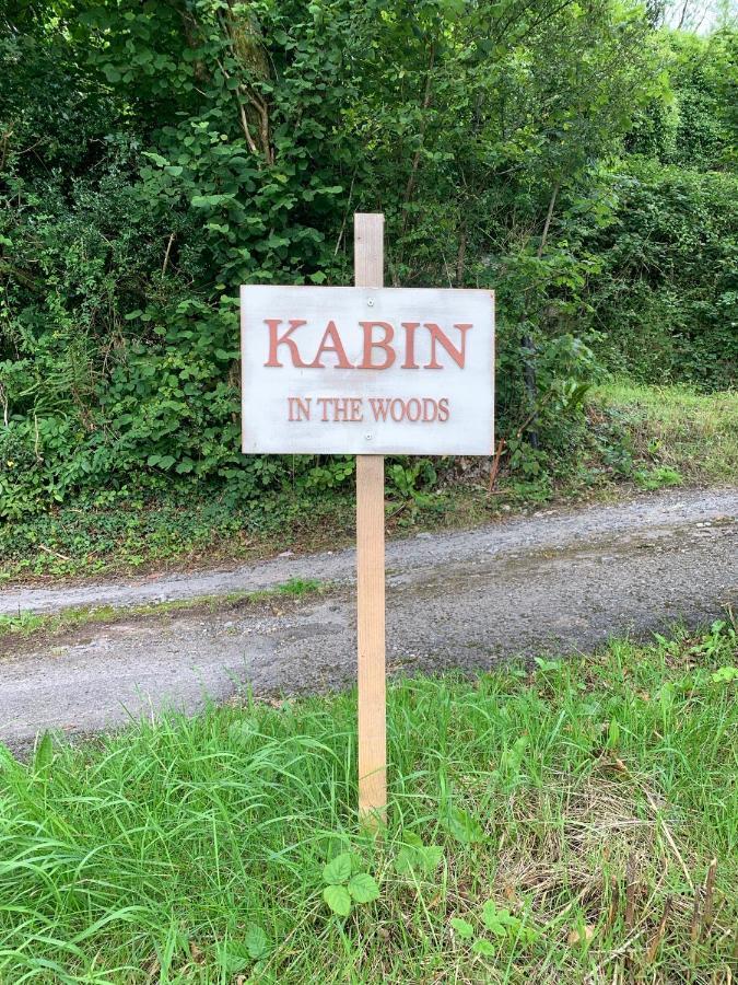 Kabin In The Woods Llandybie エクステリア 写真
