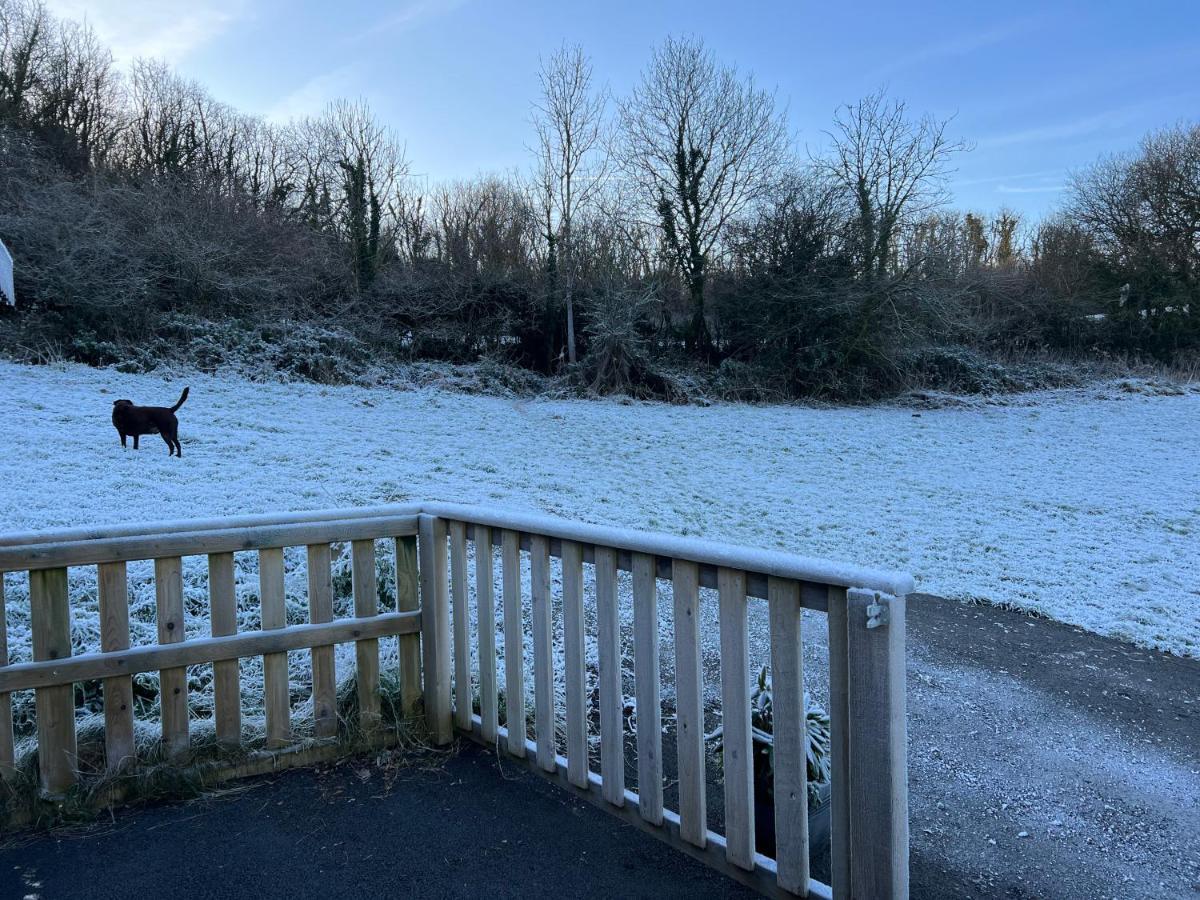 Kabin In The Woods Llandybie エクステリア 写真