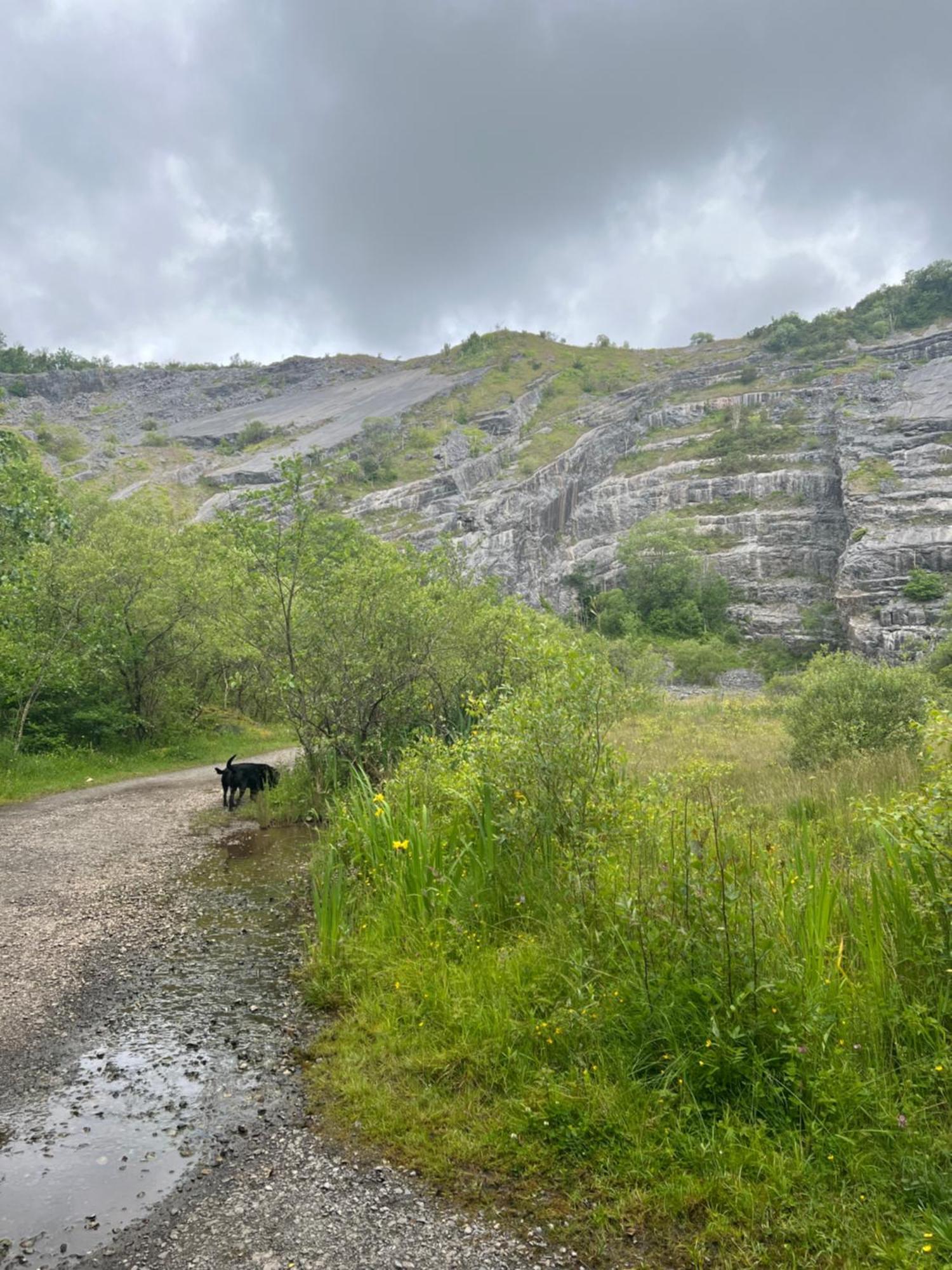 Kabin In The Woods Llandybie エクステリア 写真