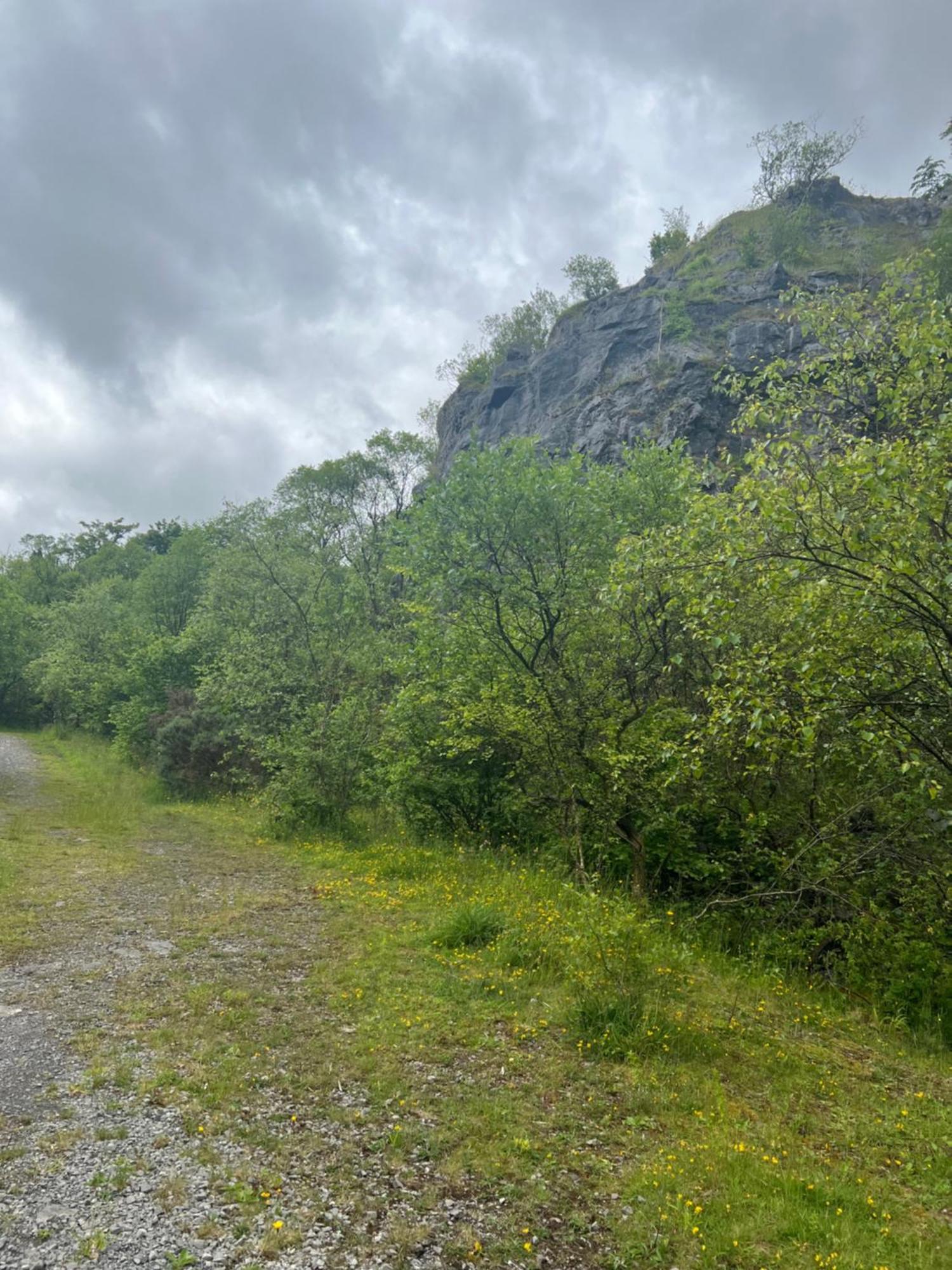 Kabin In The Woods Llandybie エクステリア 写真