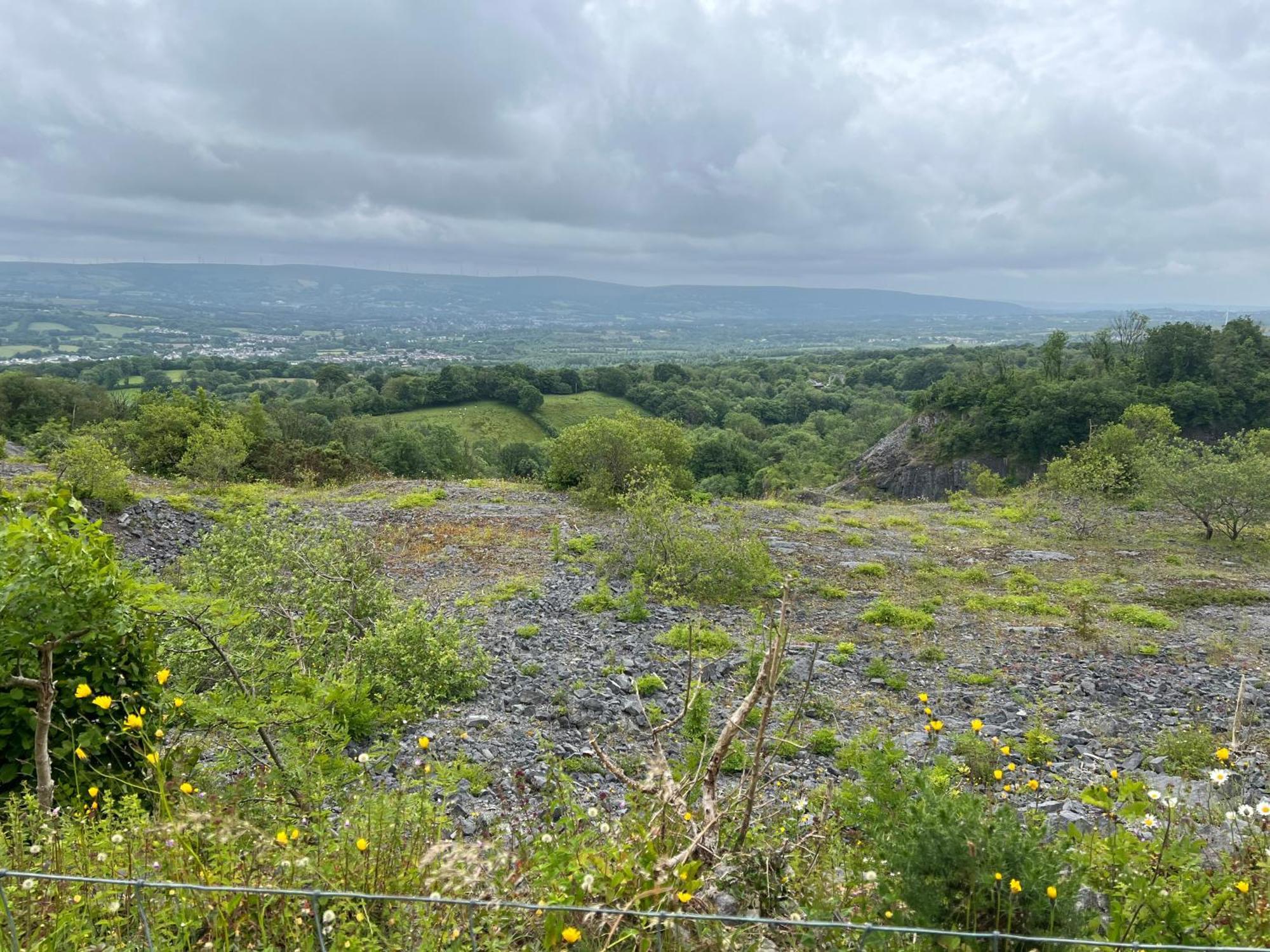 Kabin In The Woods Llandybie エクステリア 写真