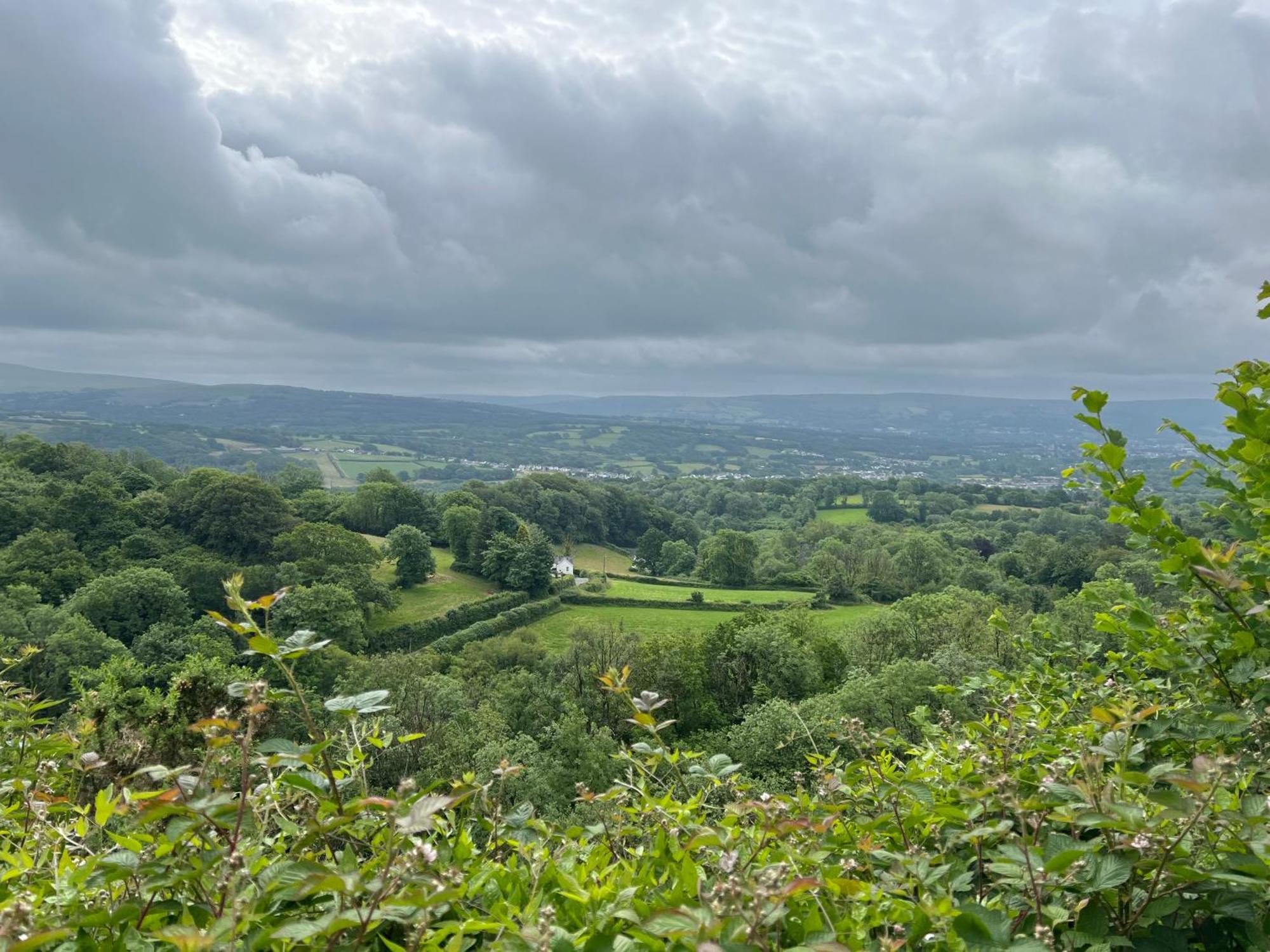 Kabin In The Woods Llandybie エクステリア 写真